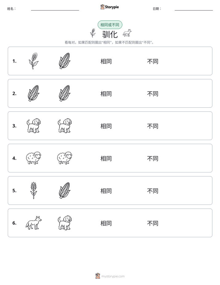 相同或不同