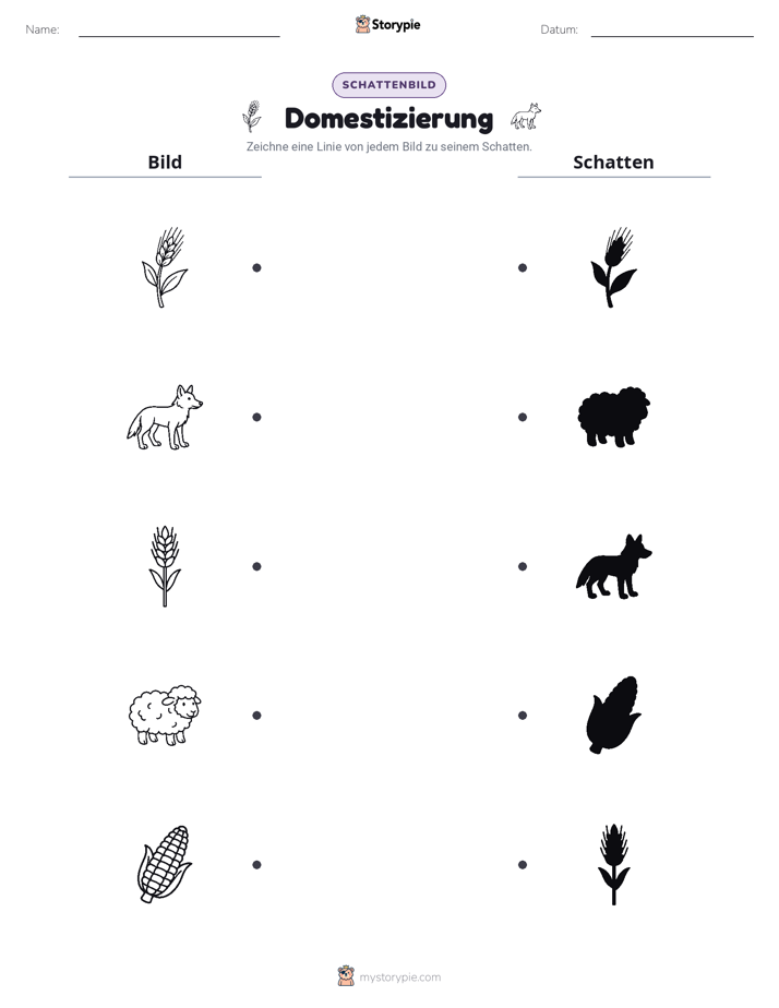 Schattenmatch