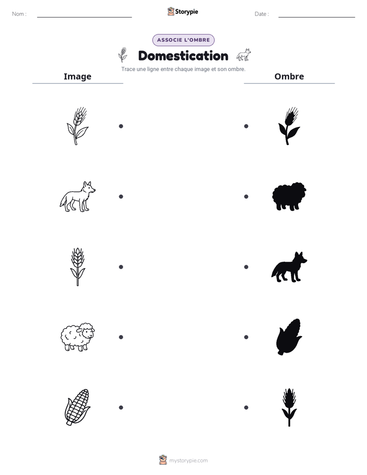 Correspondance d'Ombres