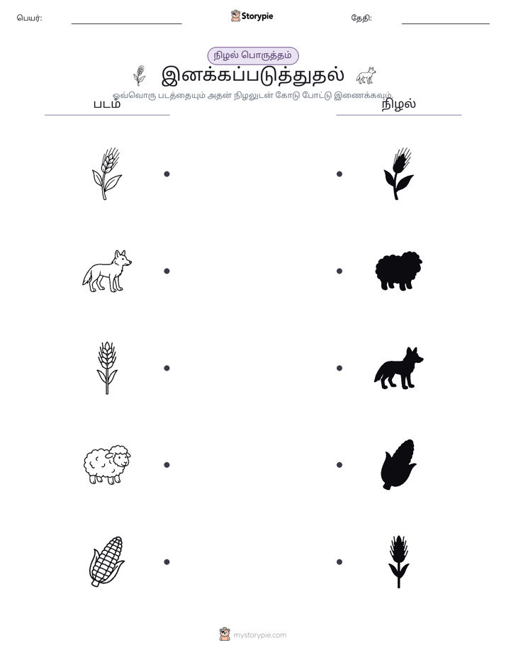 நிழல் பொருத்தம்