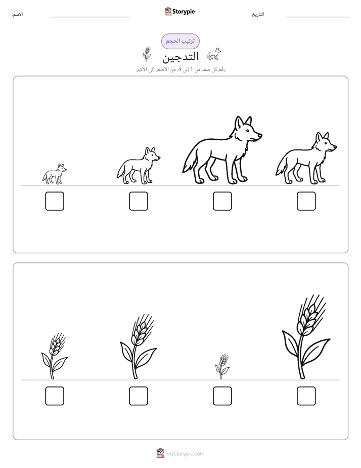 ترتيب الحجم