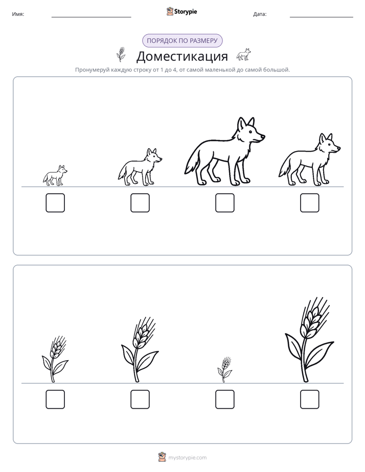 Размеры в порядке
