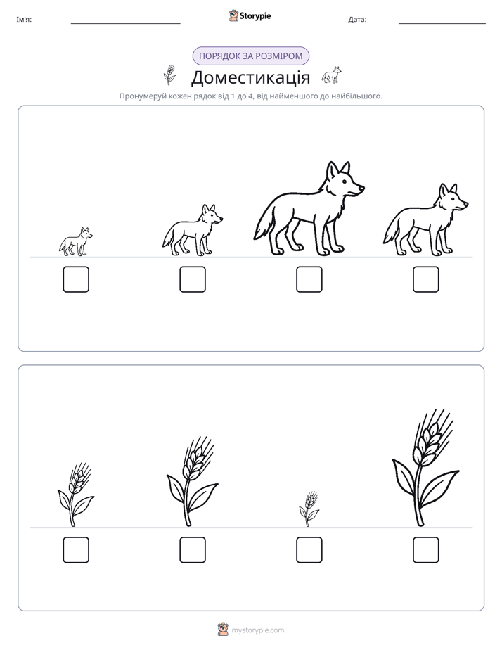 Порядок Розміру