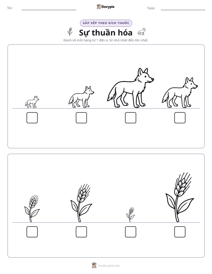 Thứ Tự Kích Thước