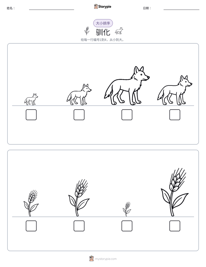 大小排序