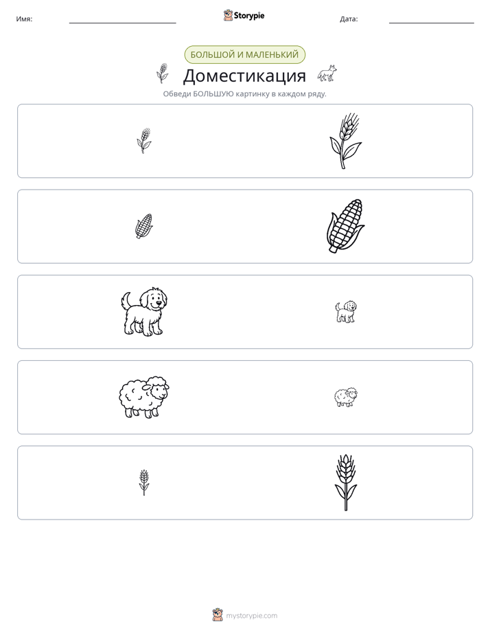 Сортировка