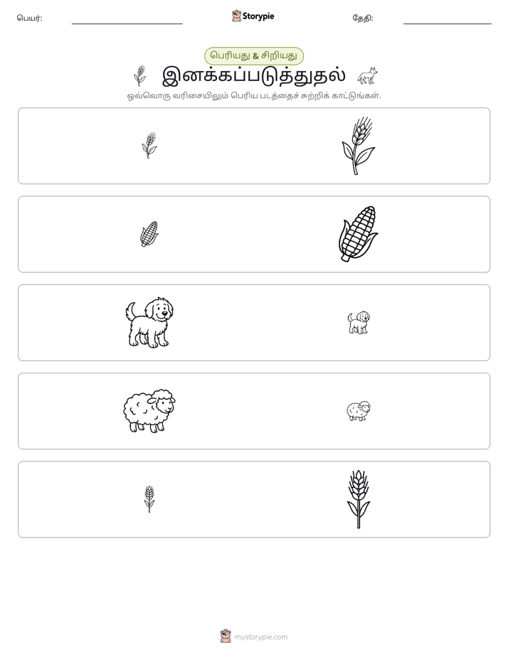 வகைப்படுத்தல்