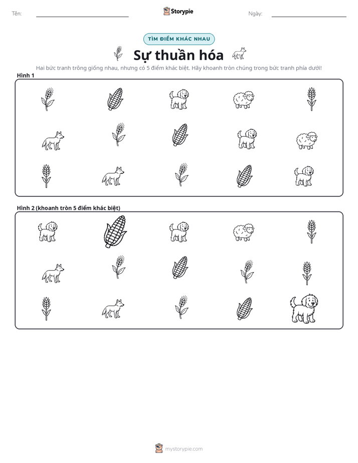 Tìm Sự Khác Biệt