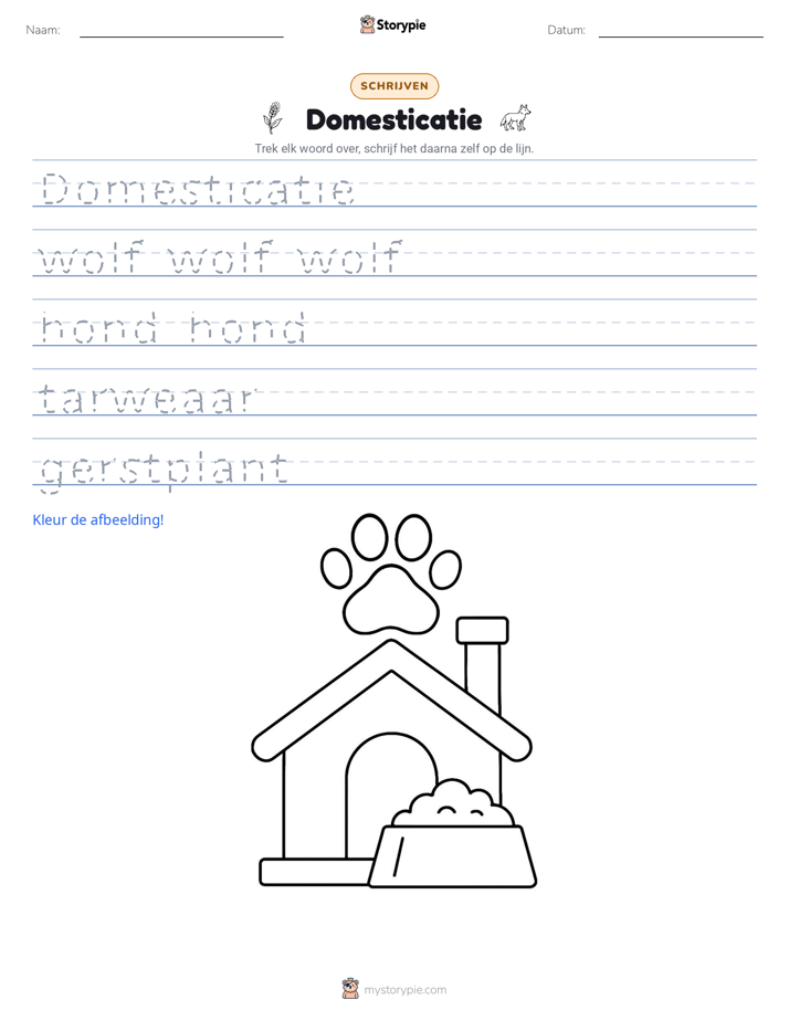 Schrijf Oefening