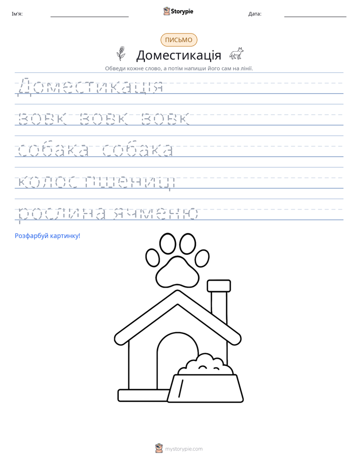 Практика письма