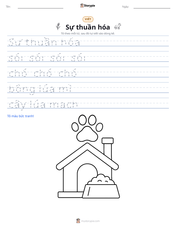 Luyện Viết