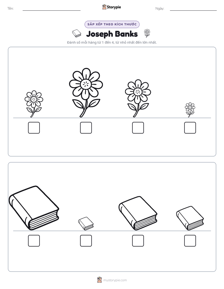 Thứ Tự Kích Thước