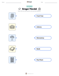 Gregor Mendel printable worksheet preview