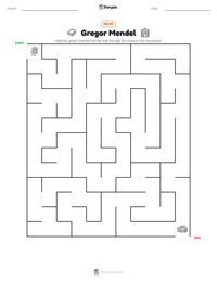Gregor Mendel printable worksheet preview