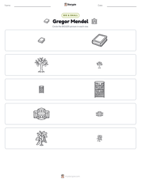Gregor Mendel printable worksheet preview