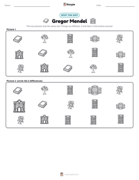 Gregor Mendel printable worksheet preview