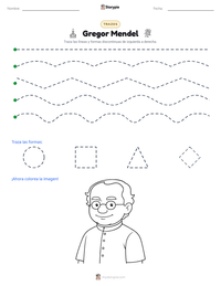 Vista previa de la hoja de trabajo imprimible de Gregor Mendel