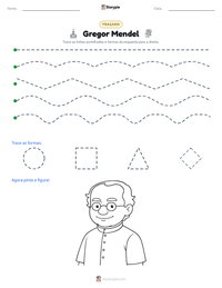 Prévia da folha de atividades imprimível Gregor Mendel