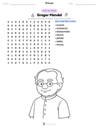 Vista previa de la hoja de trabajo imprimible de Gregor Mendel