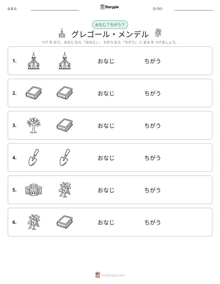 同じか違うか