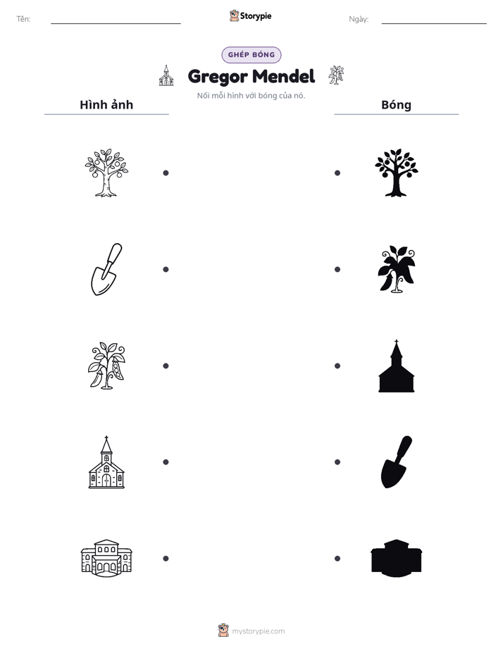 Ghép Hình Bóng