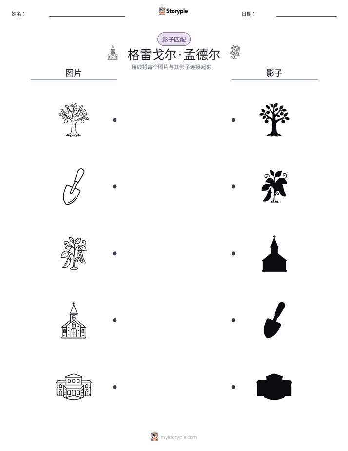 影子匹配