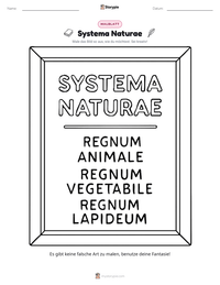 Systema Naturae druckbare Arbeitsblatt Vorschau