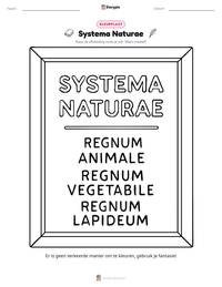 Systema Naturae afdrukbare werkblad voorbeeld