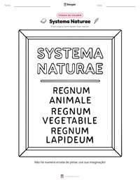 Prévia da folha de atividades imprimível Systema Naturae