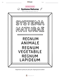 Systema Naturae yazdırılabilir çalışma sayfası önizlemesi