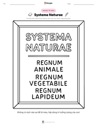 Xem trước tài liệu in sẵn Systema Naturae