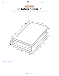 Systema Naturae druckbare Arbeitsblatt Vorschau