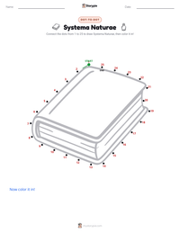 Systema Naturae printable worksheet preview