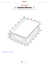 Aperçu de la feuille de travail imprimable Systema Naturae