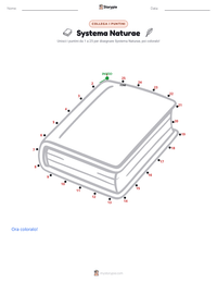 Anteprima della scheda stampabile di Systema Naturae