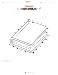 Systema Naturae afdrukbare werkblad voorbeeld