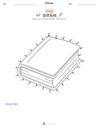 自然系统 可打印工作表预览