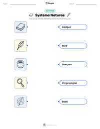 Systema Naturae afdrukbare werkblad voorbeeld