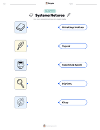 Systema Naturae yazdırılabilir çalışma sayfası önizlemesi