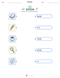 自然系统 可打印工作表预览