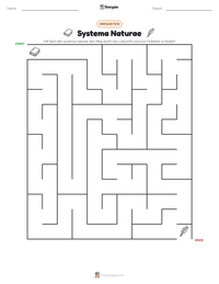 Systema Naturae druckbare Arbeitsblatt Vorschau