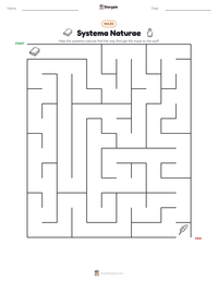 Systema Naturae printable worksheet preview