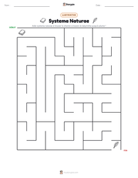 Aperçu de la feuille de travail imprimable Systema Naturae