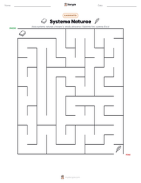 Anteprima della scheda stampabile di Systema Naturae
