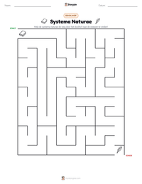 Systema Naturae afdrukbare werkblad voorbeeld