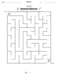 Podgląd drukowalnego arkusza ćwiczeń Systema Naturae