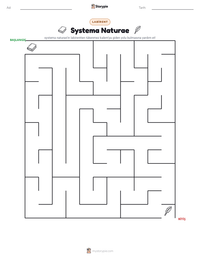 Systema Naturae yazdırılabilir çalışma sayfası önizlemesi