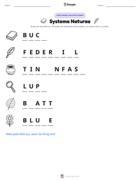 Systema Naturae druckbare Arbeitsblatt Vorschau