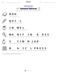 Systema Naturae printable worksheet preview