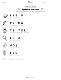 Vista previa de la hoja de trabajo imprimible de Systema Naturae